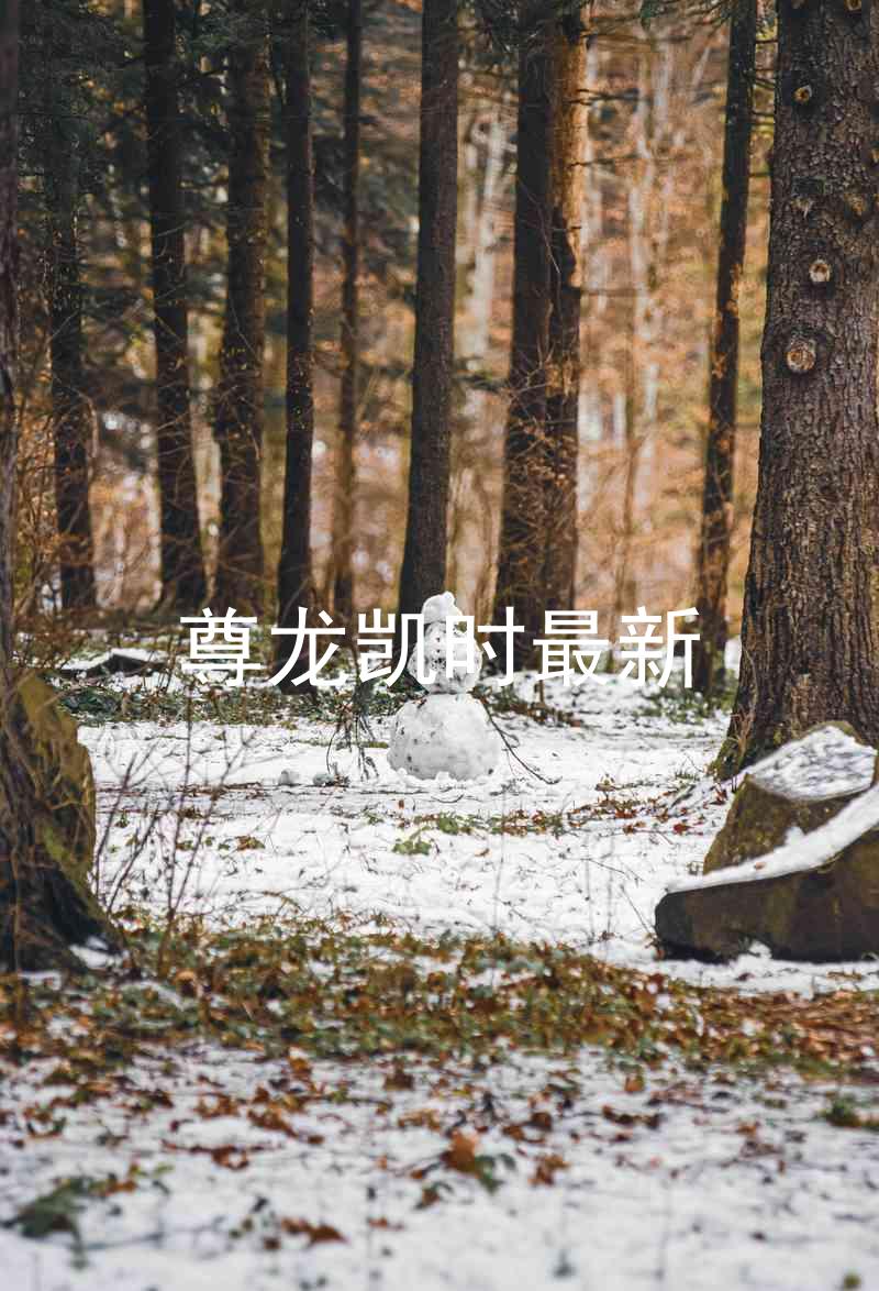 尊龙凯时最新