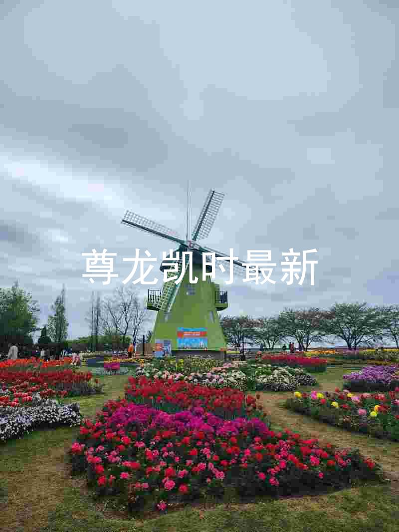 尊龙凯时最新