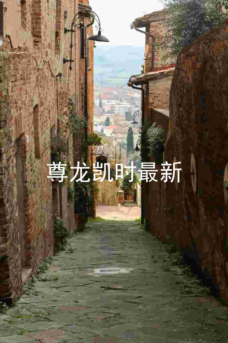 尊龙凯时最新