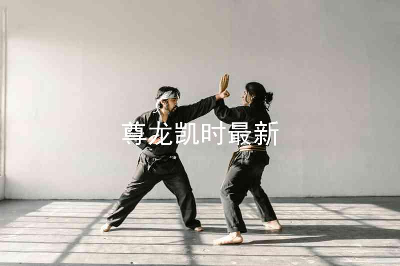 尊龙凯时最新